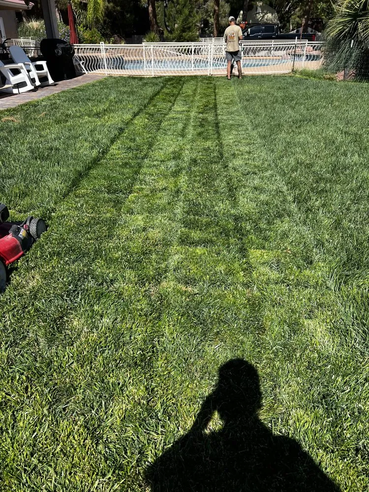 Trusted landscape design in Las Vegas, NV - C-Ray Landscapes