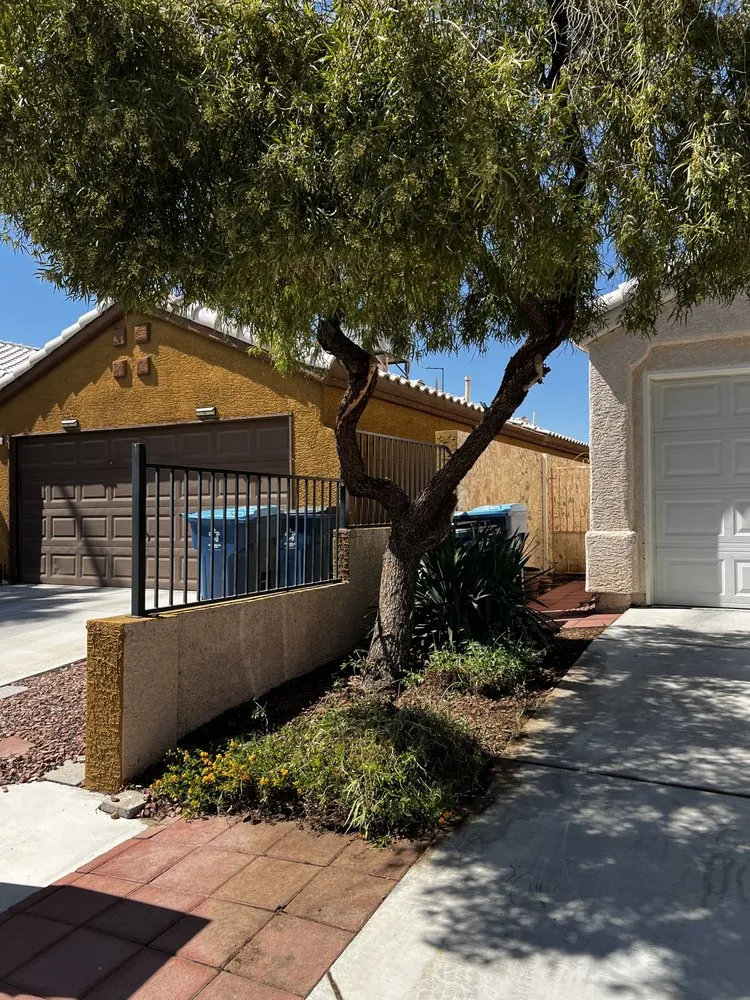 Affordable landscaping services experts serving Las Vegas, NV - C-Ray Landscapes