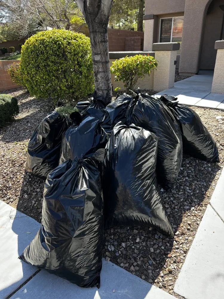 Trusted residential landscaping experts serving Las Vegas, NV - C-Ray Landscapes