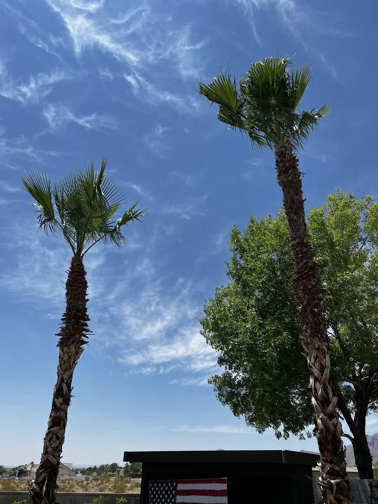 Local outdoor landscaping in Las Vegas, NV - C-Ray Landscapes