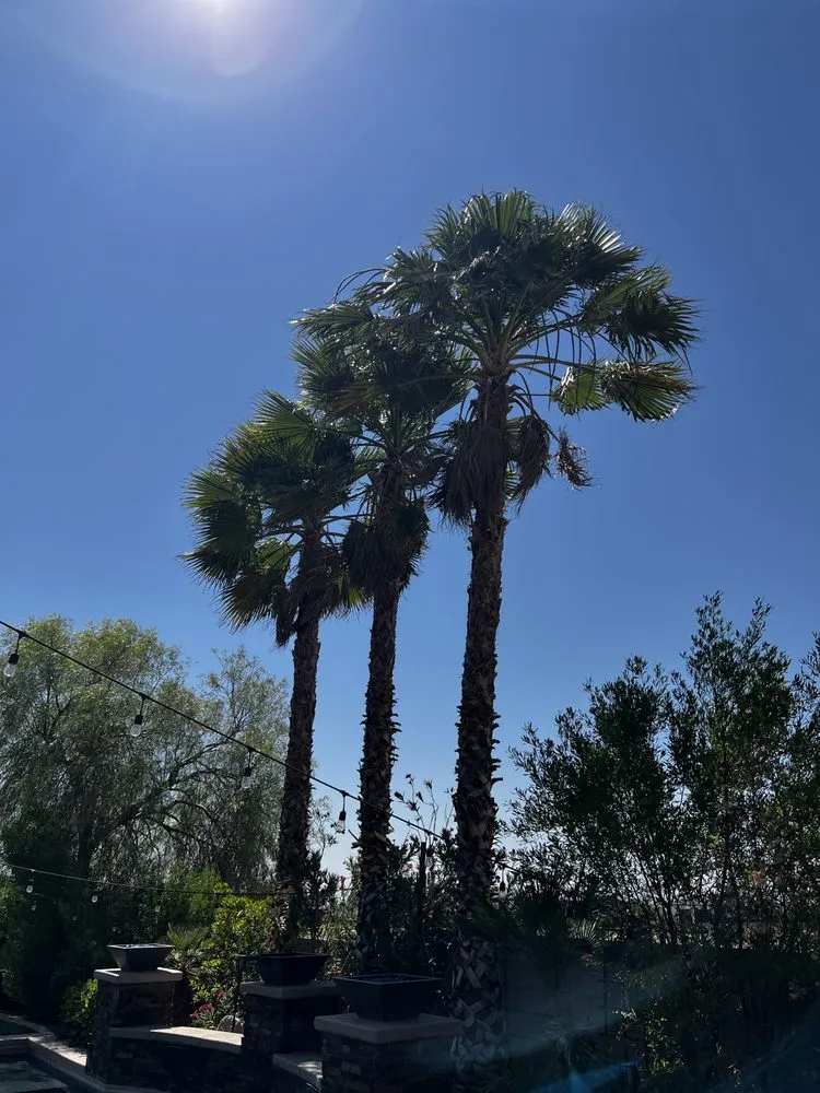 Reliable residential landscaping for residential properties across Las Vegas, NV - C-Ray Landscapes