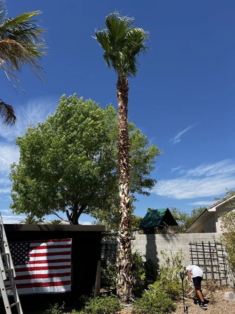 Professional lawn care service in Las Vegas, NV by C-Ray Landscapes