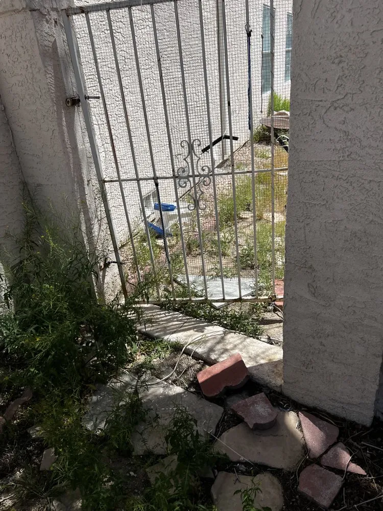 Local residential landscaping experts serving Las Vegas, NV - C-Ray Landscapes