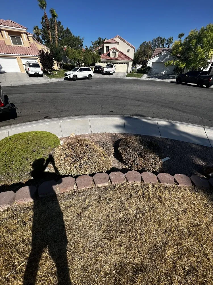 Custom landscaping services in Las Vegas, NV by C-Ray Landscapes