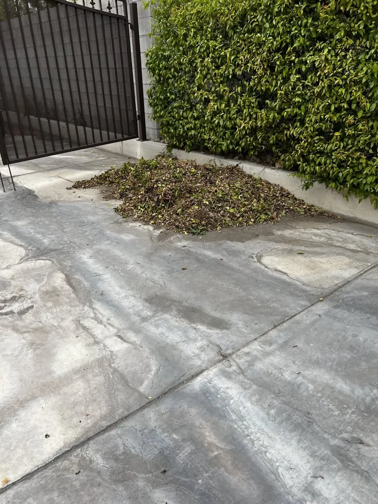 Professional lawn mowing service experts serving Las Vegas, NV - C-Ray Landscapes