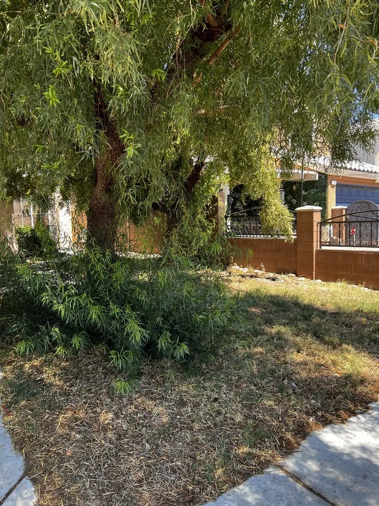 Trusted lawn care service for homes in Las Vegas, NV by C-Ray Landscapes