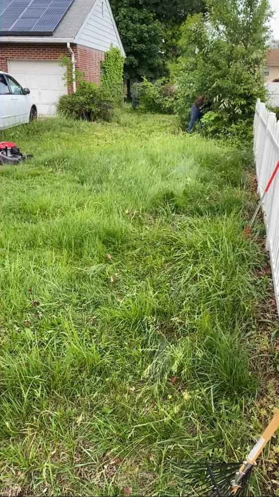 Reliable yard cleanup service for residential properties across Edison, NJ - C-ROC City Lawn Service