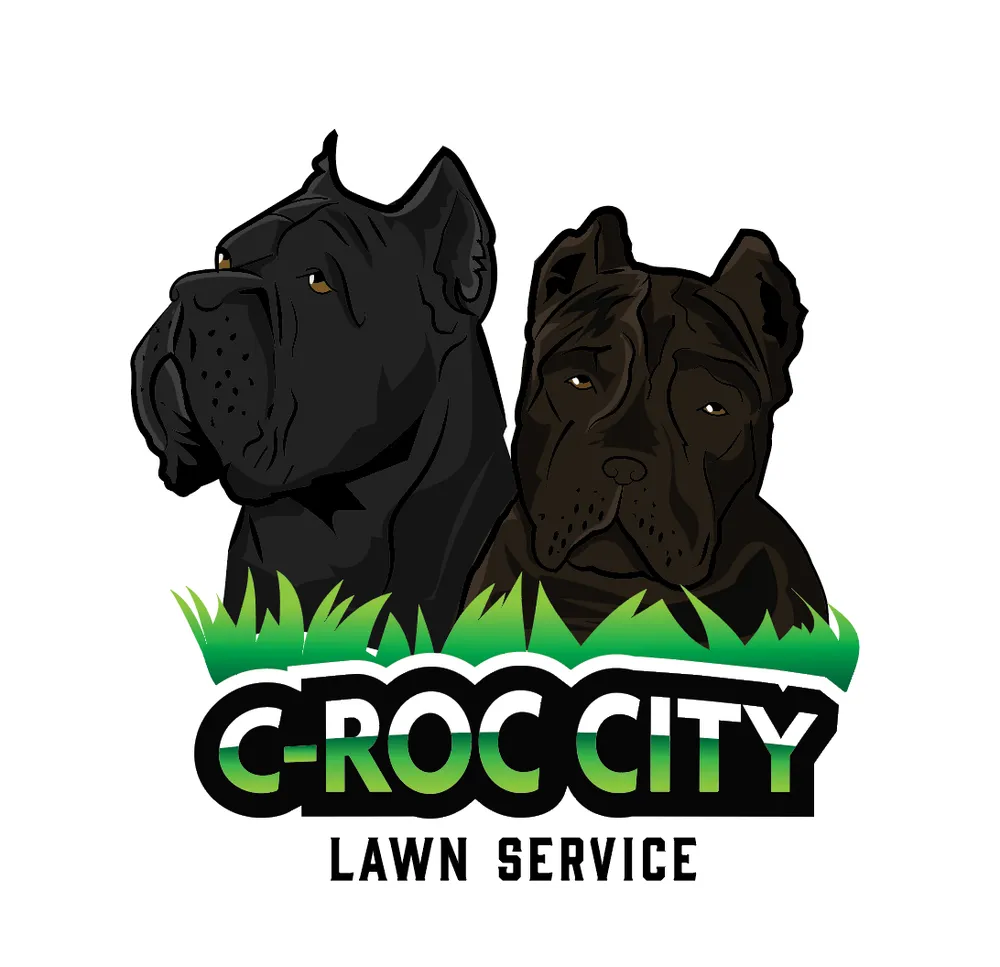 Custom yard cleanup service in Edison, NJ - C-ROC City Lawn Service
