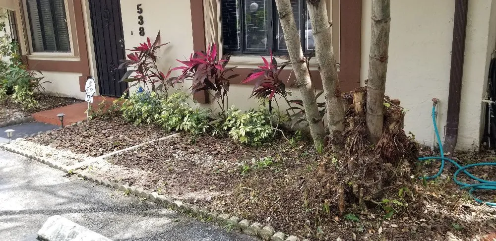 Professional garden landscaping experts serving Hallandale Beach, FL - C S Designer Landscaping