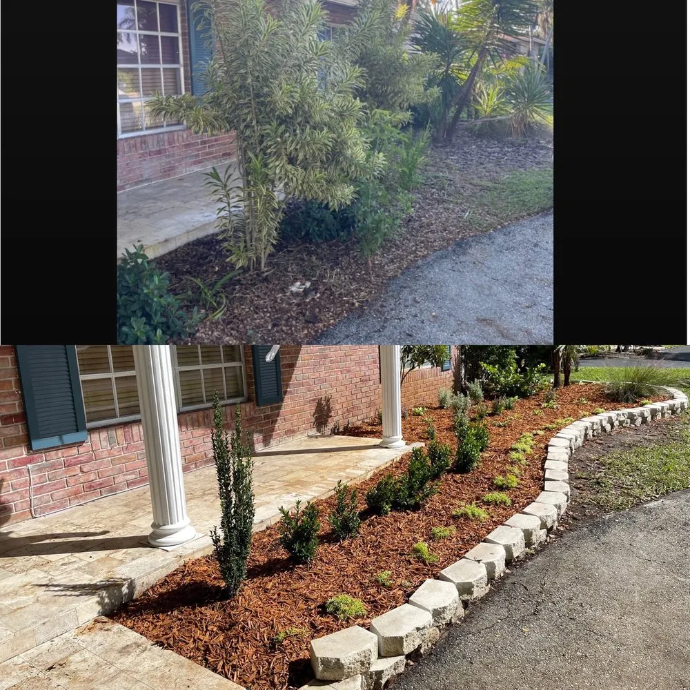 Reliable landscaping services in Hallandale Beach, FL - C S Designer Landscaping