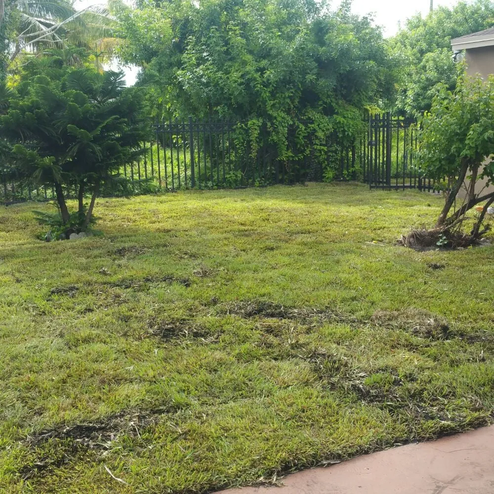 Trusted lawn mowing service for year-round maintenance across Hallandale Beach, FL - C S Designer Landscaping