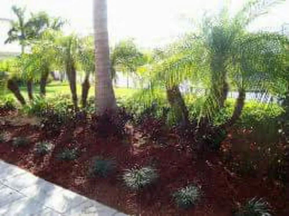 Local garden landscaping in Hallandale Beach, FL - C S Designer Landscaping