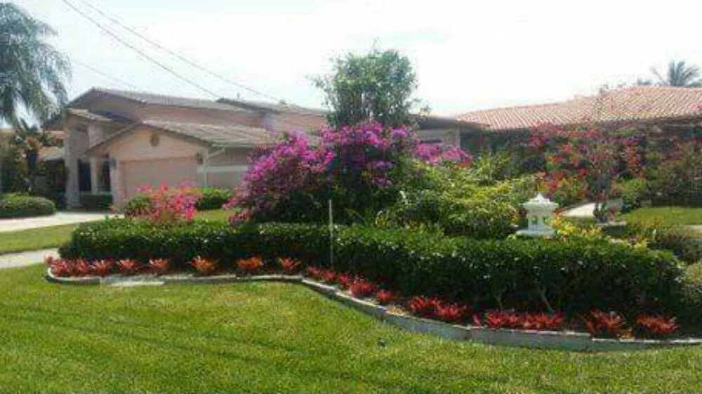 Top-rated residential landscaping for year-round maintenance across Hallandale Beach, FL - C S Designer Landscaping