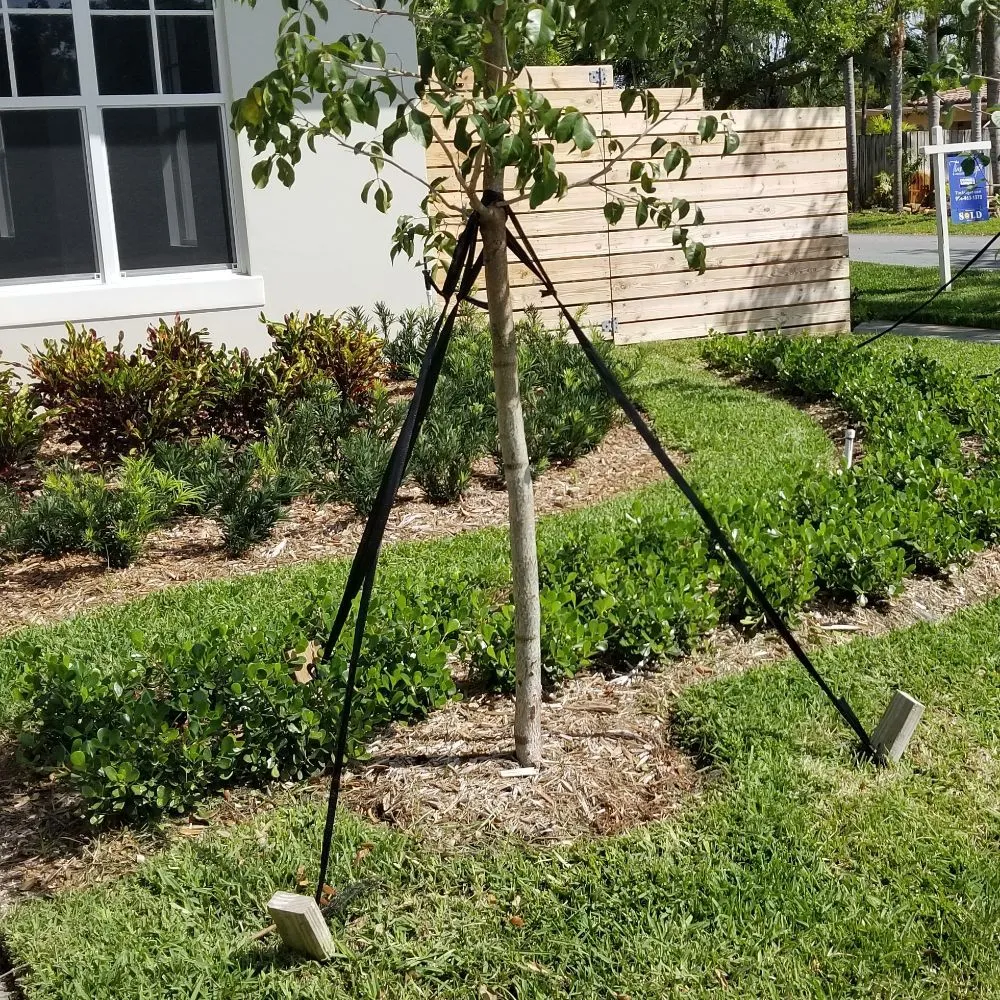 Local lawn mowing service in Hallandale Beach, FL by C S Designer Landscaping