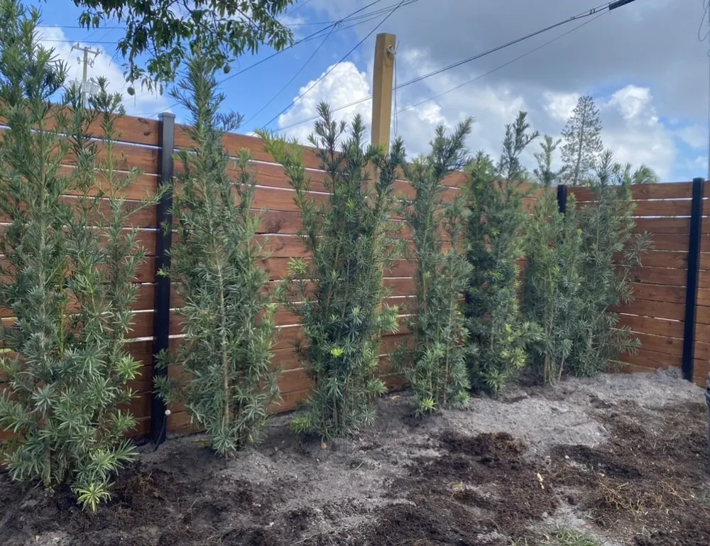 Affordable lawn mowing service for year-round maintenance in Hallandale Beach, FL by C S Designer Landscaping