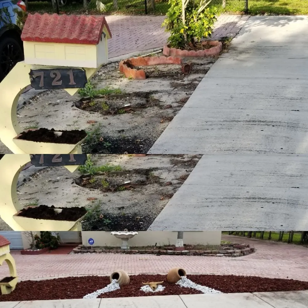 Top-rated landscaping services experts serving Hallandale Beach, FL - C S Designer Landscaping