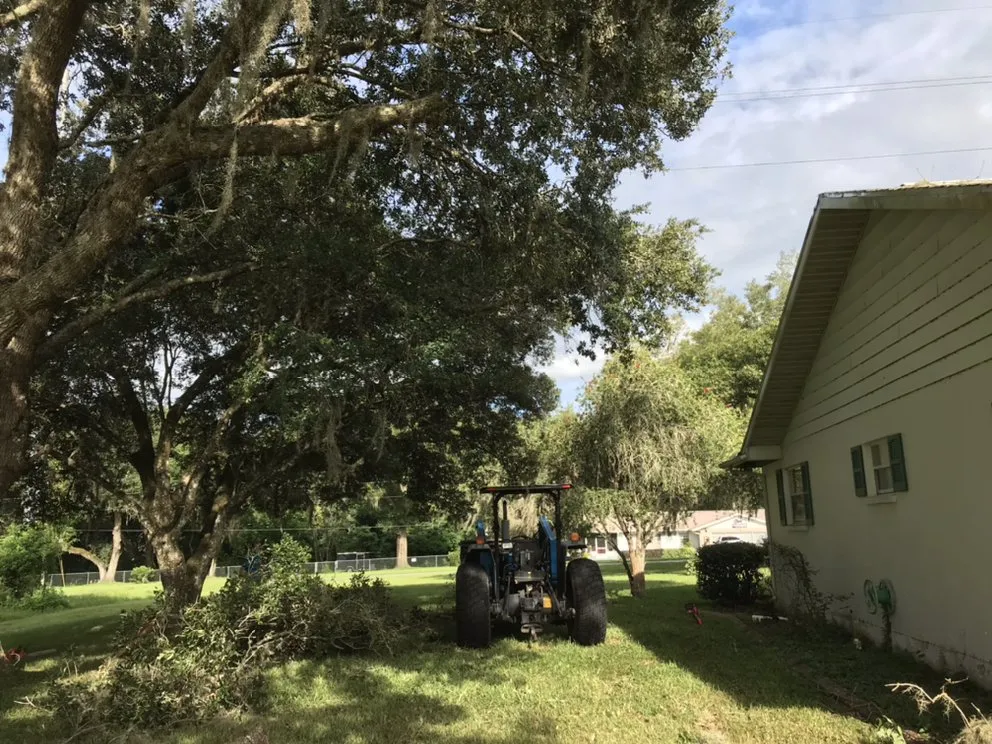 Top-rated yard maintenance in Spring Hill, FL - C-S Landscaping
