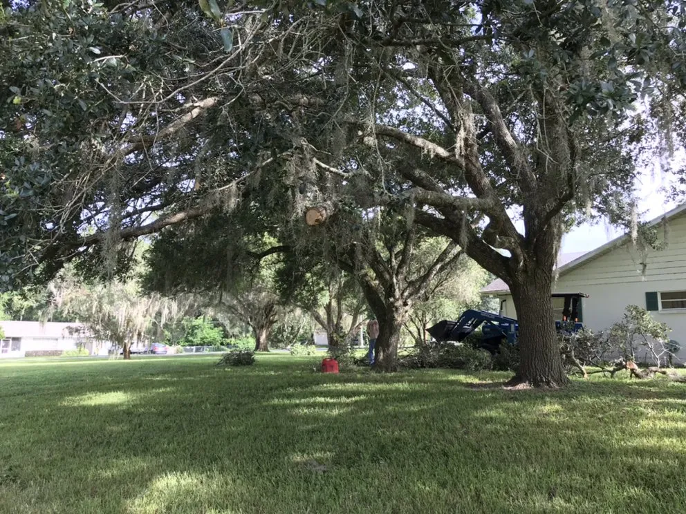 Reliable lawn mowing service in Spring Hill, FL by C-S Landscaping