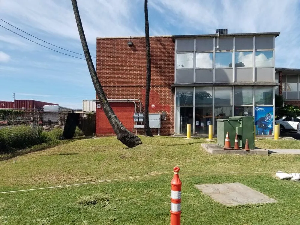 Professional lawn mowing service in Honolulu, HI by C S Maintenance