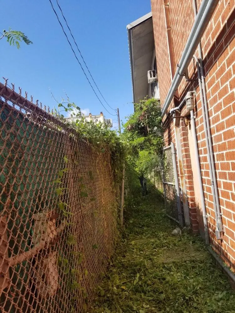 Expert outdoor landscaping in Honolulu, HI by C S Maintenance