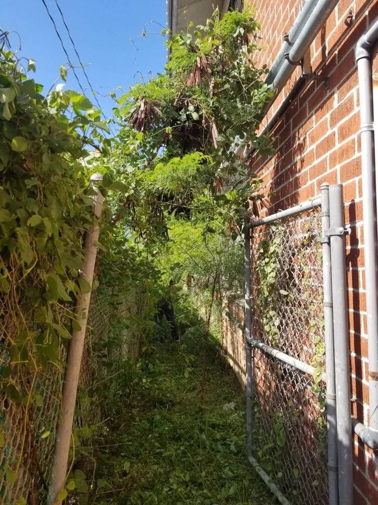 Trusted landscaping services in Honolulu, HI - C S Maintenance