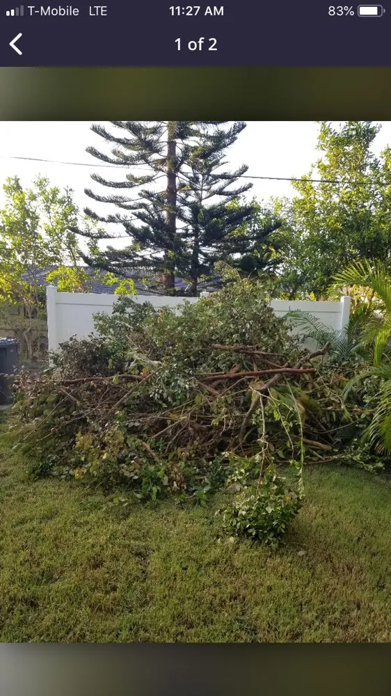 Affordable yard cleanup service in Honolulu, HI by C S Maintenance