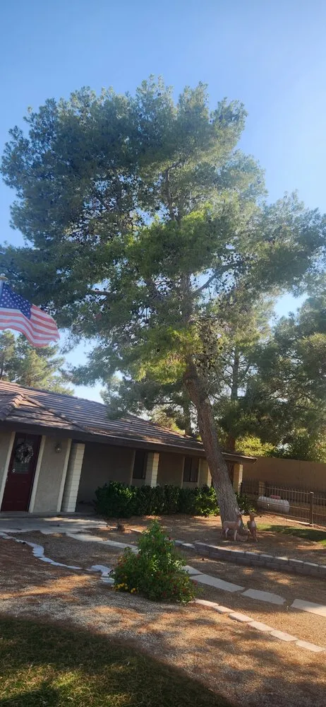 Local landscape installation with custom design in Las Vegas, NV by C-Scapes