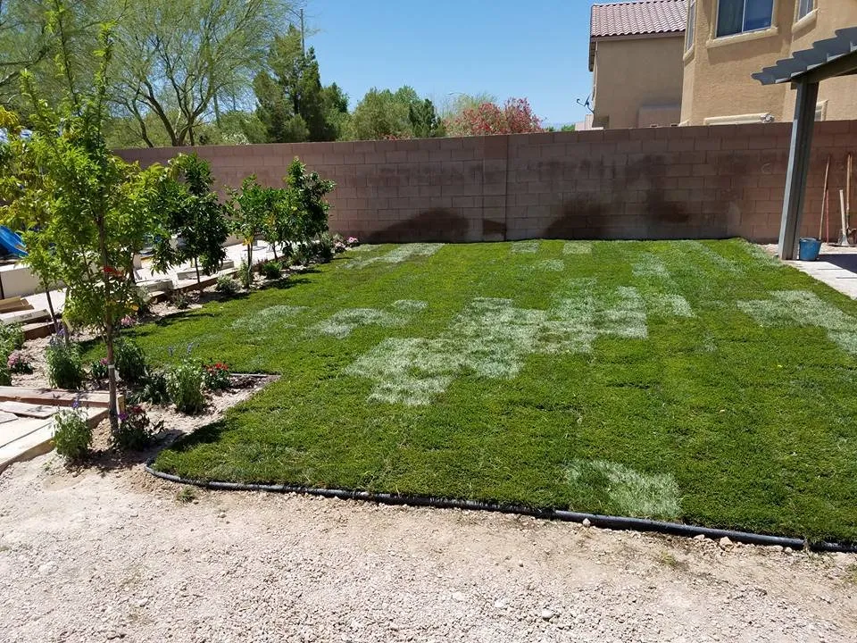 Custom yard cleanup service experts serving Las Vegas, NV - C-Scapes