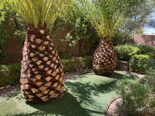 Reliable lawn mowing service in Las Vegas, NV by C-Scapes