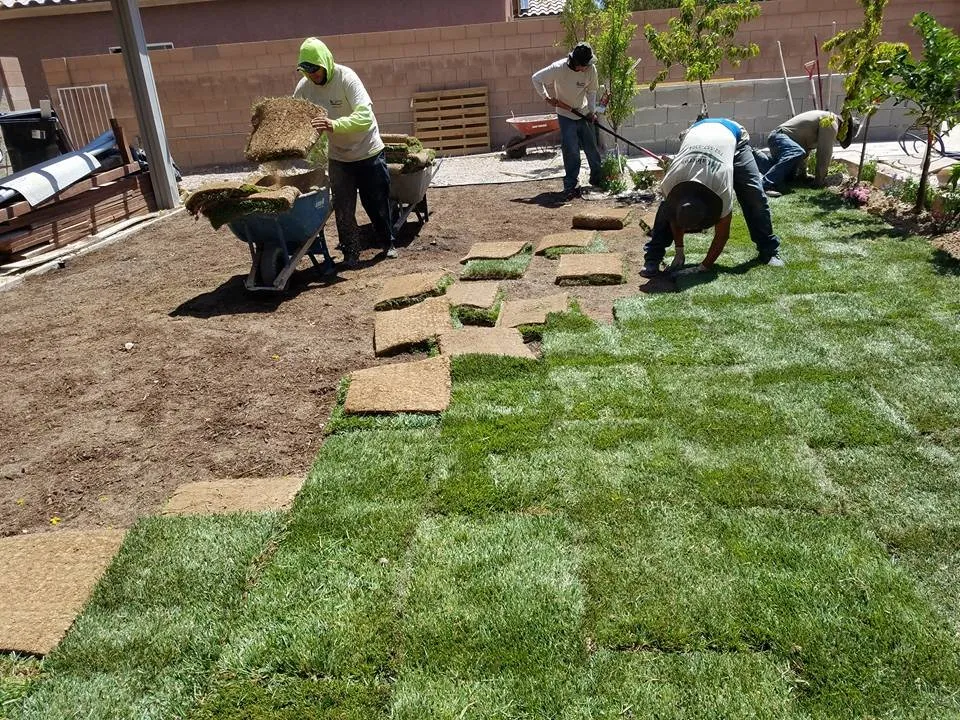 Expert landscape design experts serving Las Vegas, NV - C-Scapes
