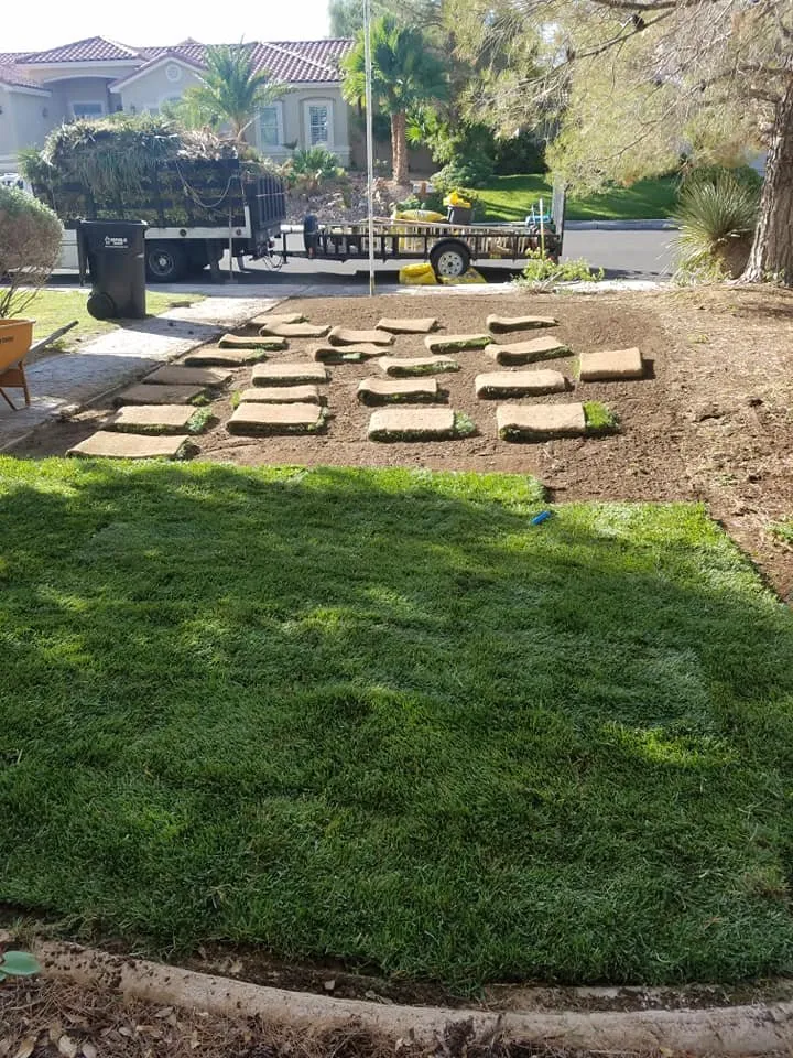 Trusted residential landscaping for homes in Las Vegas, NV by C-Scapes