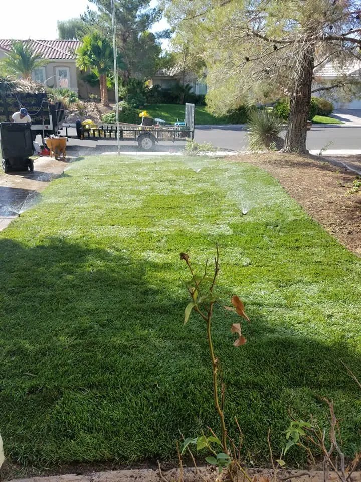 Top-rated landscaping services for homes in Las Vegas, NV by C-Scapes