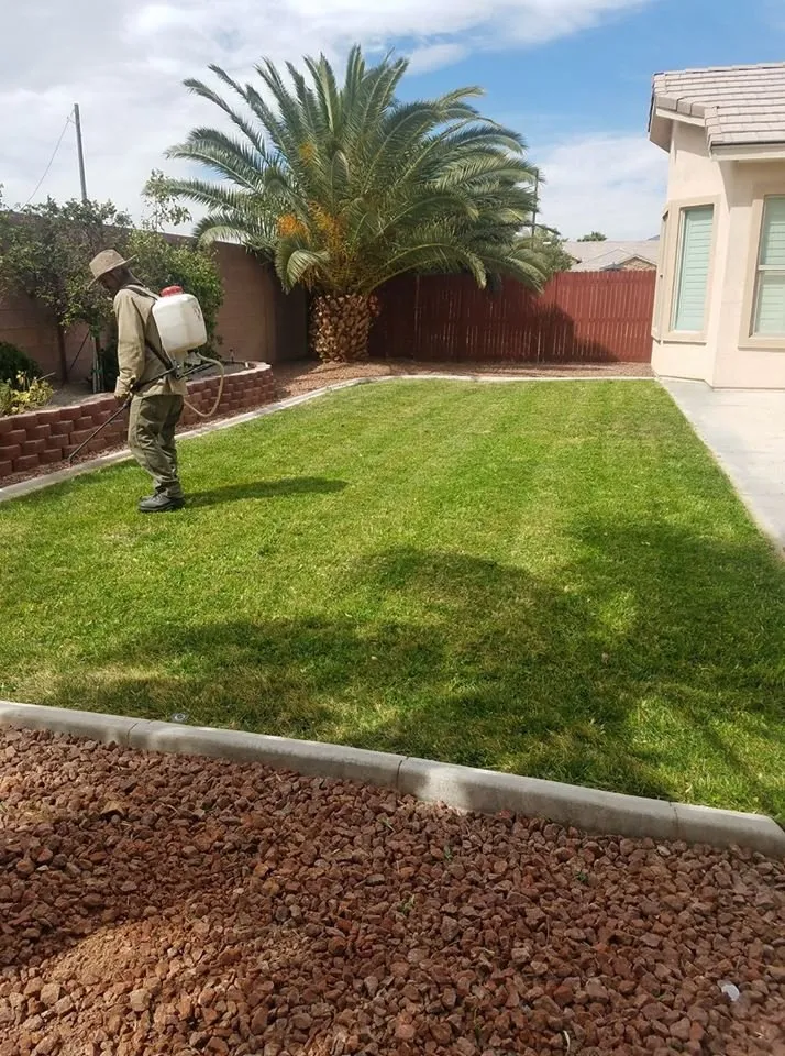 Professional landscape installation in Las Vegas, NV by C-Scapes