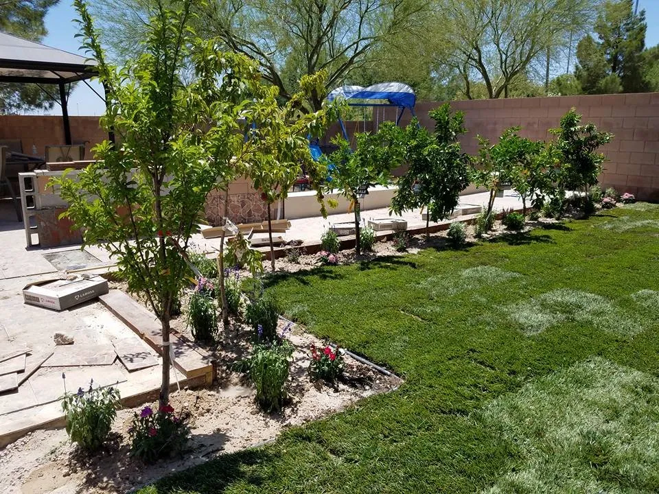 Trusted lawn mowing service experts serving Las Vegas, NV - C-Scapes