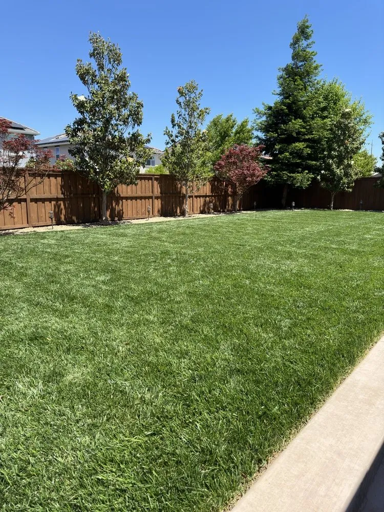 Custom residential landscaping with custom design in Modesto, CA by C Scott Construction & Landscaping