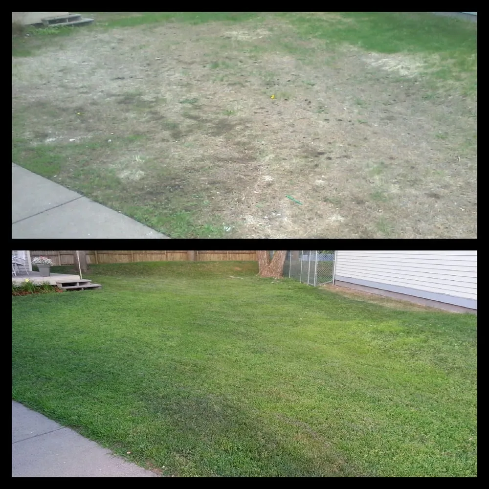 Trusted yard cleanup service experts serving Saint Paul, MN - C Stone Landscape