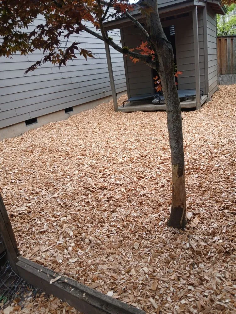 Custom yard maintenance for beautiful yards in Vancouver, WA by C-T Landscape