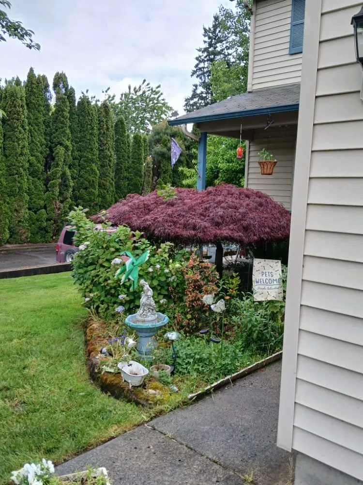 Professional landscape design with custom design across Vancouver, WA - C-T Landscape