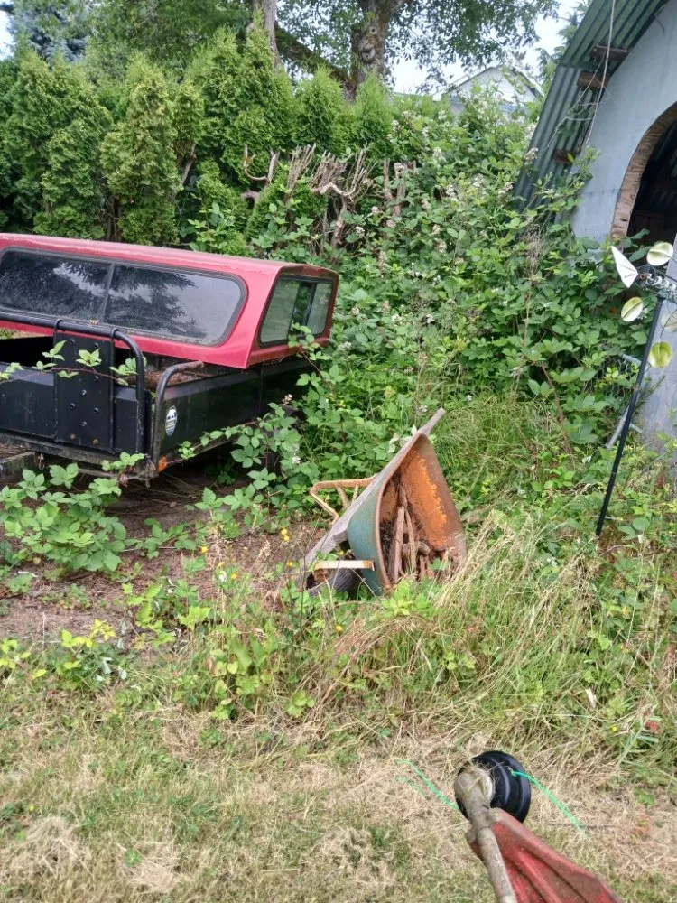 Local residential landscaping in Vancouver, WA by C-T Landscape