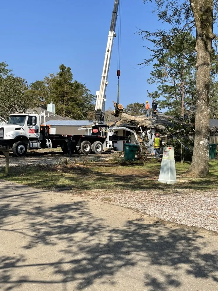 Custom yard cleanup service for residential properties across Benbrook, TX - C-Three Tree Service
