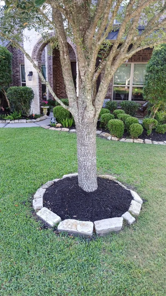 Affordable landscaping services in League City, TX by C W Fencing