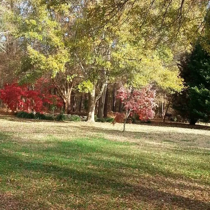 Affordable lawn care service experts serving Zebulon, NC - C W Price Irrigation and Landscape