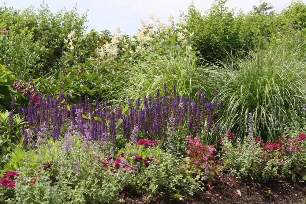 Expert lawn care service for residential properties across Amagansett, NY - C. Whitmore Gardens