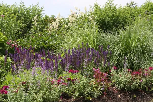C. Whitmore Gardens