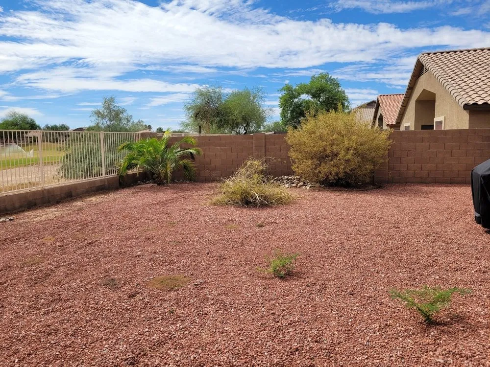 Custom lawn care service for residential properties in Casa Grande, AZ by C. Wilder scrap, junk and trash removal