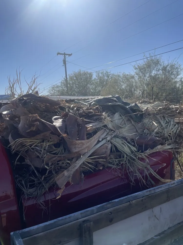 Reliable lawn care service in Casa Grande, AZ - C. Wilder scrap, junk and trash removal