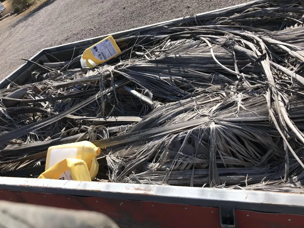 Trusted lawn mowing service in Casa Grande, AZ by C. Wilder scrap, junk and trash removal