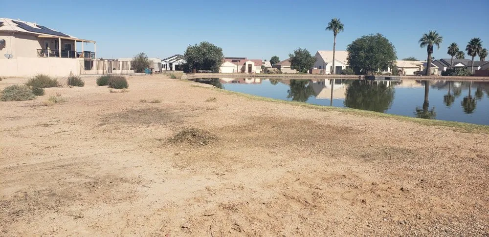 Top-rated yard maintenance for homes across Casa Grande, AZ - C. Wilder scrap, junk and trash removal