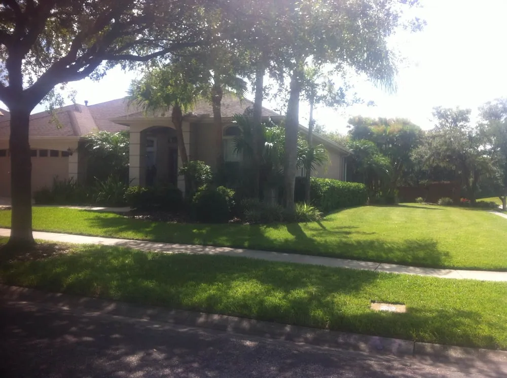 Affordable landscape design for beautiful yards across Tampa, FL - C2 Enterprises Lawn Service