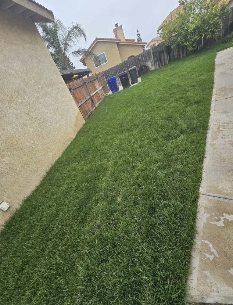 Expert lawn mowing service experts serving Mira Loma, CA - C3 Contractors